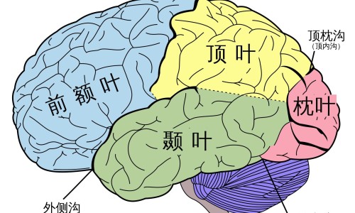 怎样为病人做好服务-如何服务病人网 | 如何服务好每一位病人,如何服务病人的话语